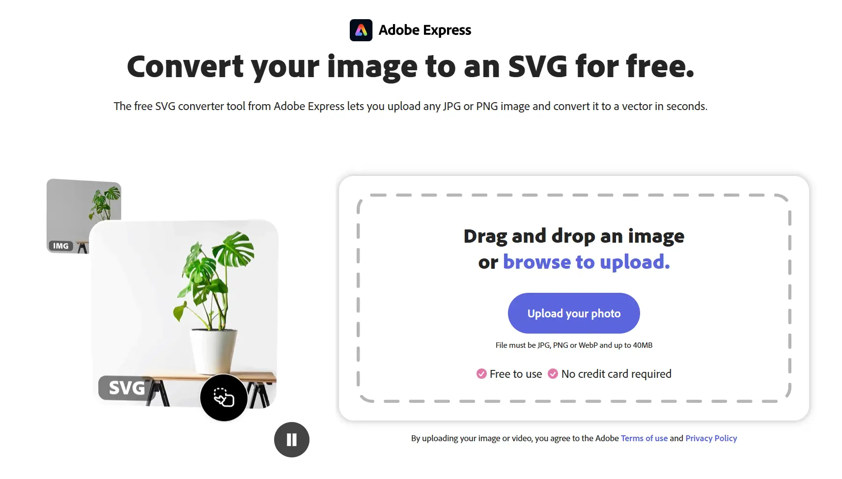 Adobe Express SVG